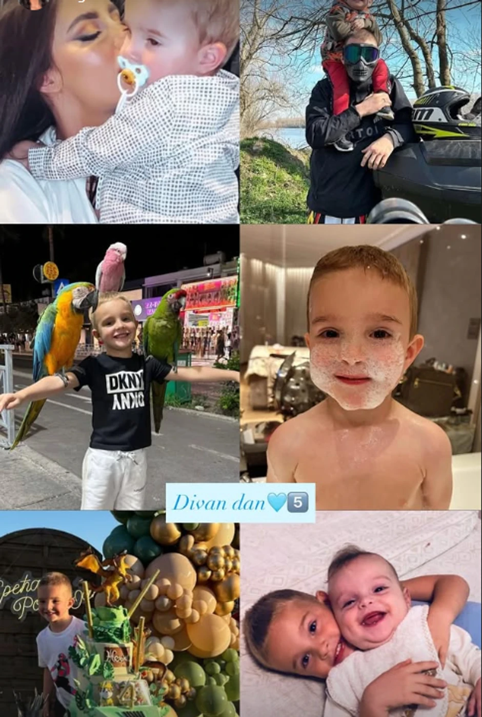 Bogdana Ražnatović, objava