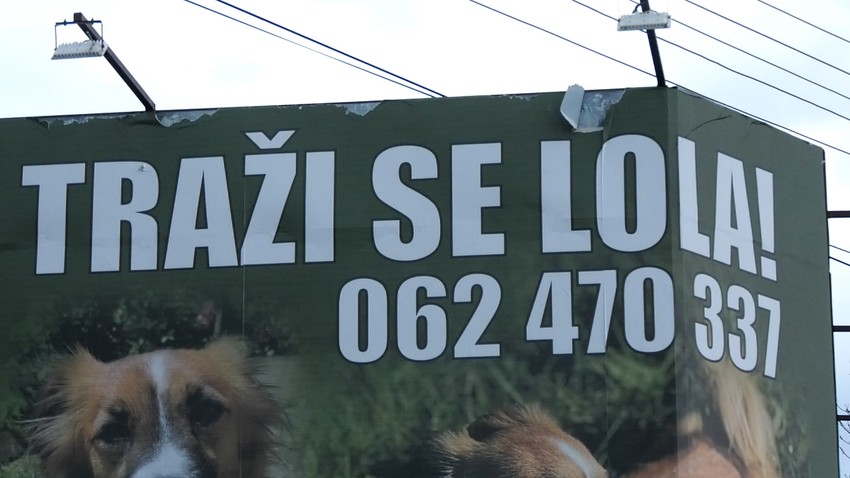 Marko mesecima traži izgubljenog psa