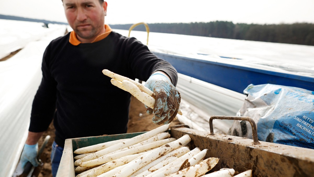 Nemačka hitno traži radnike: Dnevnica čak 100 evra na ruke, nije potrebna nikakva škola