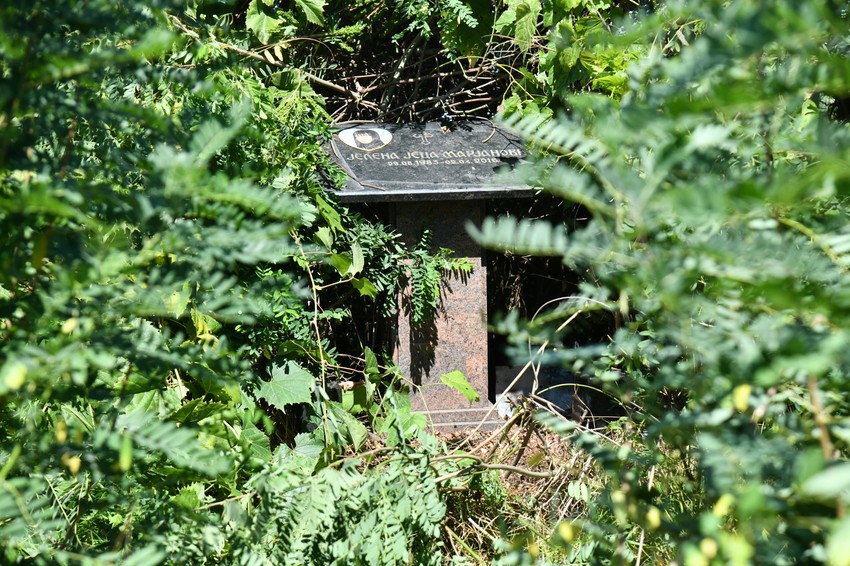 Jelena Marjanović  zarasla spomen ploča