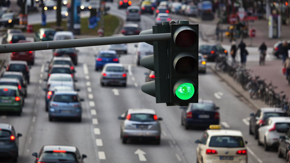 "Nie mamy fabryki baterii, nie mamy złóż litu ani kobaltu, nie mamy samochodów" mówi o polskim programie elektromobilności profesor Brzeżański, fot. Ralf Gosch