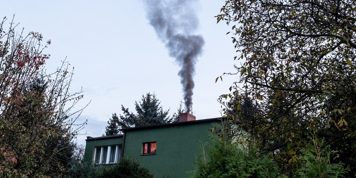 Właściciele i zarządcy budynków (również tych niemieszkalnych), muszą złożyć deklarację, czym są ogrzewane dane nieruchomości.