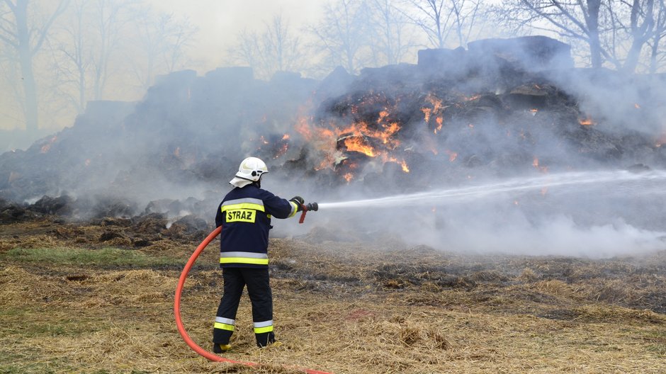 Z ogniem walczą strażacy