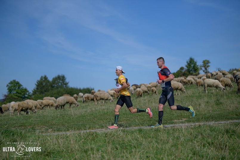 16. Festiwal Biegowy w Piwnicznej-Zdroju. Ostatnie tygodnie przygotowań- start już 5 września!