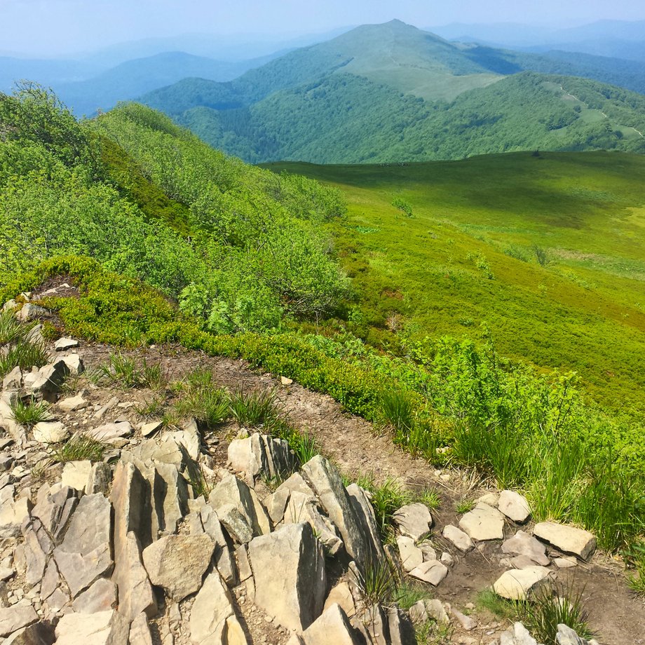 Bieszczady to jeden z najbardziej dzikich i tajemniczych zakątków Polski