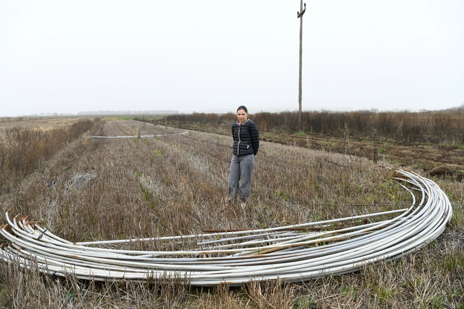Blic poljoprivrednik