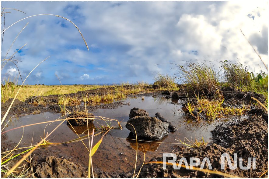 Wyspa Rapa Nui