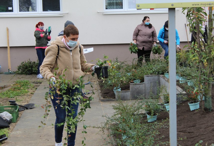 Brakowało im zieleni. Mieszkańcy bloku w Gdyni stworzyli sąsiedzką rabatę