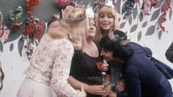 Trudny QUIZ dla muzykalnych. Dopasuj hit lat siedemdziesiątych do   piosenkarki