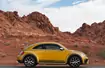 VW Beetle Dune