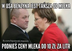 Kaczyński wciąż dąsa się o kartofla, a Kopacz podnosi ceny mleka. MEMY DNIA