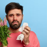 7+1 tuti tipp a pollenallergiásoknak!