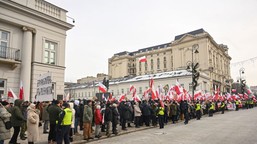 tłumy protestują przeciwko programowi safe. sikorski: ciekawe ilu tu frajerów