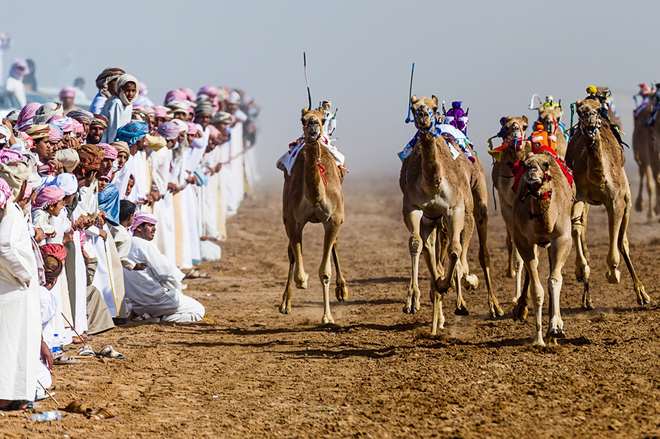 wyróżnienie w kategorii Vanishing &amp; Emerging Cultures (pol. Zanikające i kiełkujące kultury): Jason Edwards, Australia - Wyścigi wielbłądów, Wahiba Sands, Oman