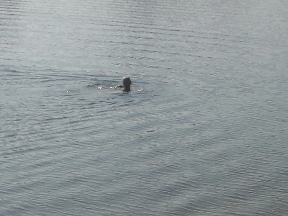 Ada Ciganlija kupači oktobar