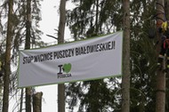 Puszcza Białowieska Protest ekologów z Greenpeace i fundacji Dzika Polska