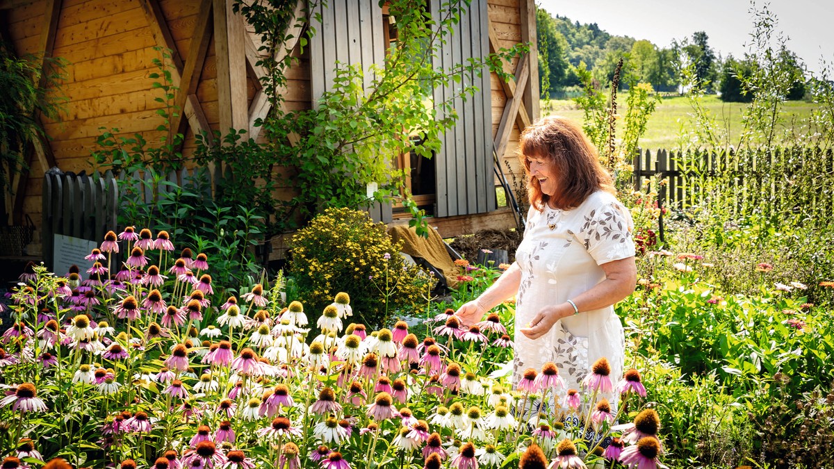 Ove biljke su noćna mora za komarce: Lepe su, mirisne i brutalno efikasne