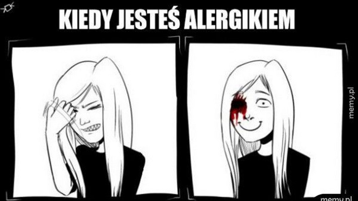 Najlepsze memy o alergii