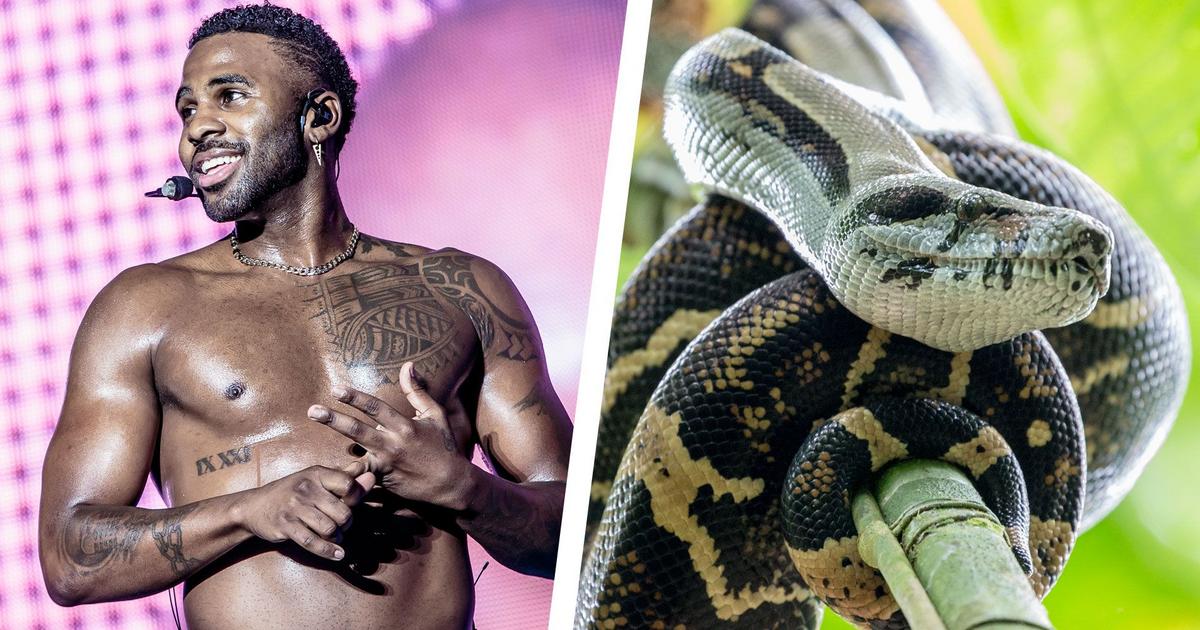 Jason Derulo Has an ‘Anaconda’ in His Pants, and It’s Pleased to See