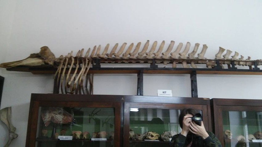 Posetioci Noći muzeja biće u prilici da, na 100 lokacija, vide dosta zanimljivih stvari 