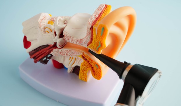 Jedna doza injekcije matičnih ćelija, nazvane Rincel-1, može potpuno da preokrene gubitak sluha