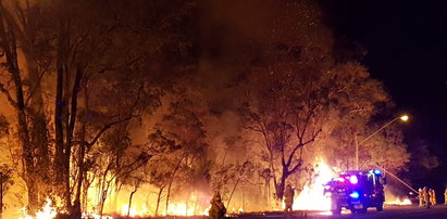 Pożar szaleje w Australii. Zbliża się do Sydney