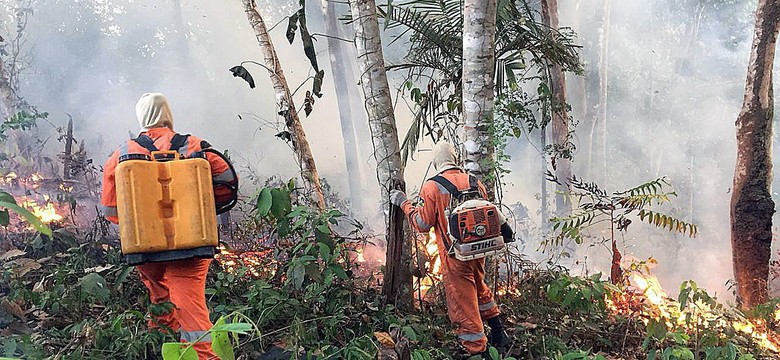 Południowa Afryka w ogniu. Nie tylko Amazonia i Arktyka płoną