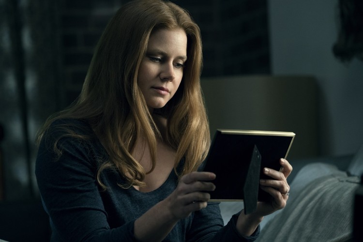 Amy Adams w filmie 'Liga Sprawiedliwości'. Polska premiera 17 listopada 2017 roku.