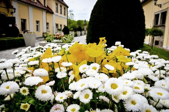 Zamek Książ na weekend. Tarasy pełne kwiatów i bajeczna architektura