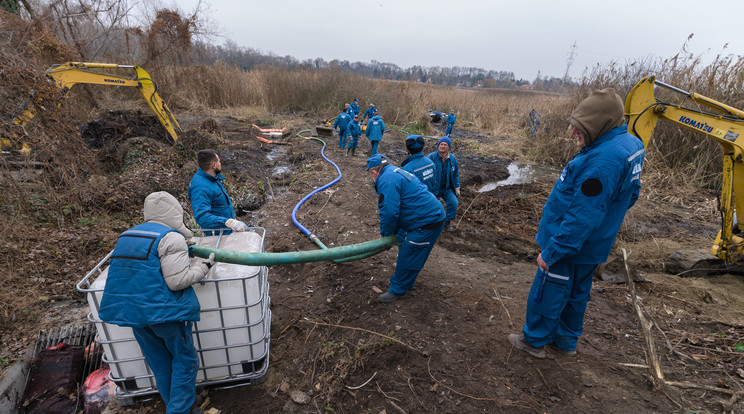 Természetvédelmi szakemberekkel egyeztetve végzi a Vízügy az olajszennyezésfelszámolását a Ráckevei-Soroksári Duna-ágon. / Fotó: OVF!