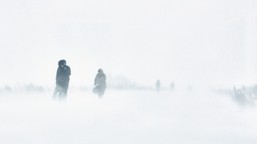 pogodowy rollercoaster. po fali ciepła uderzą śnieżyce i tęgi mróz. kiedy?