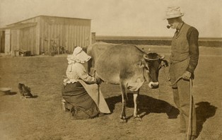 Polskim rolnikom bardziej przeszkadza prawo niż rosyjskie embargo