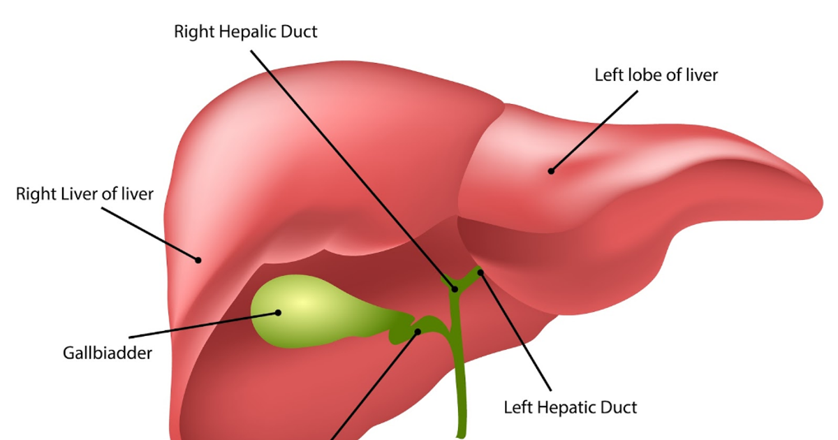 Surprising things you didn't know are toxic for your liver Pulse Uganda