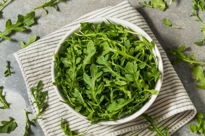 Rukola