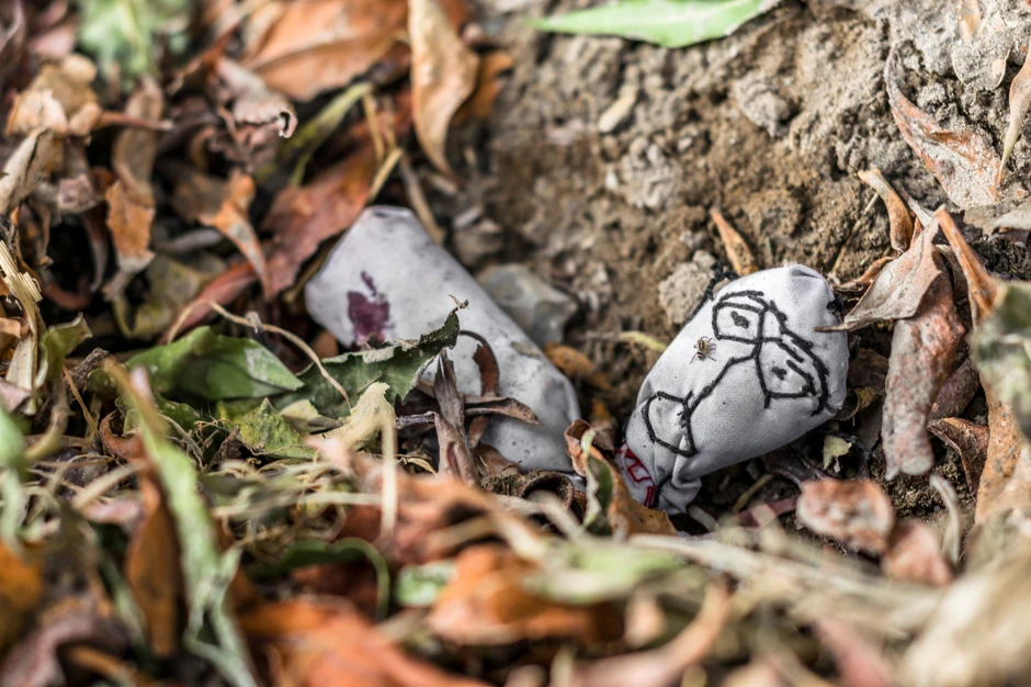 Vračanje ilustracija