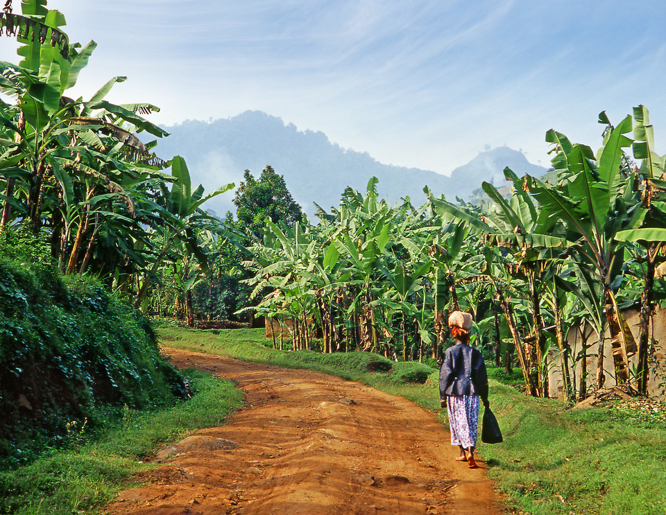 5. Uganda