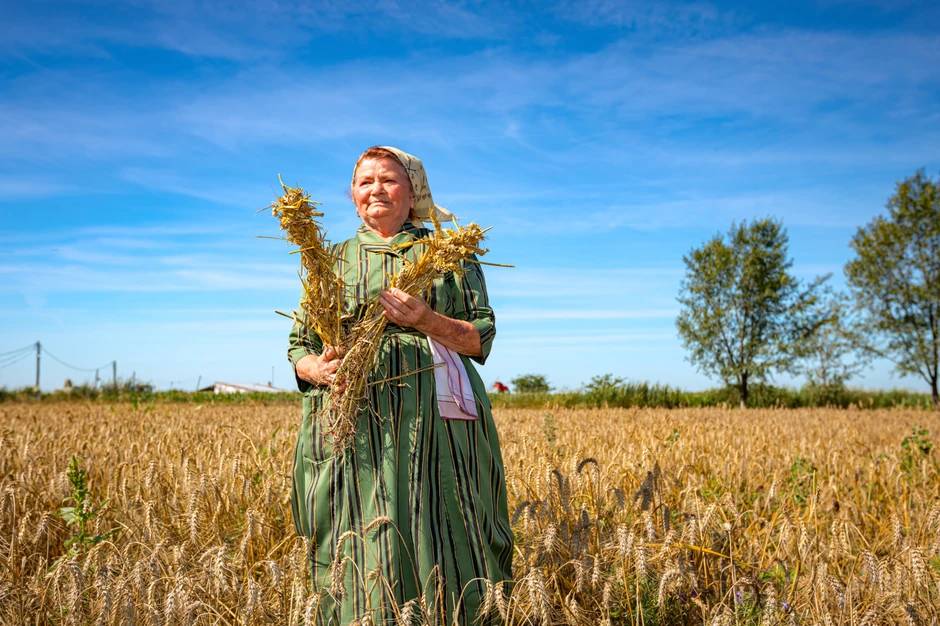 Žena iz Vojvodine u polju