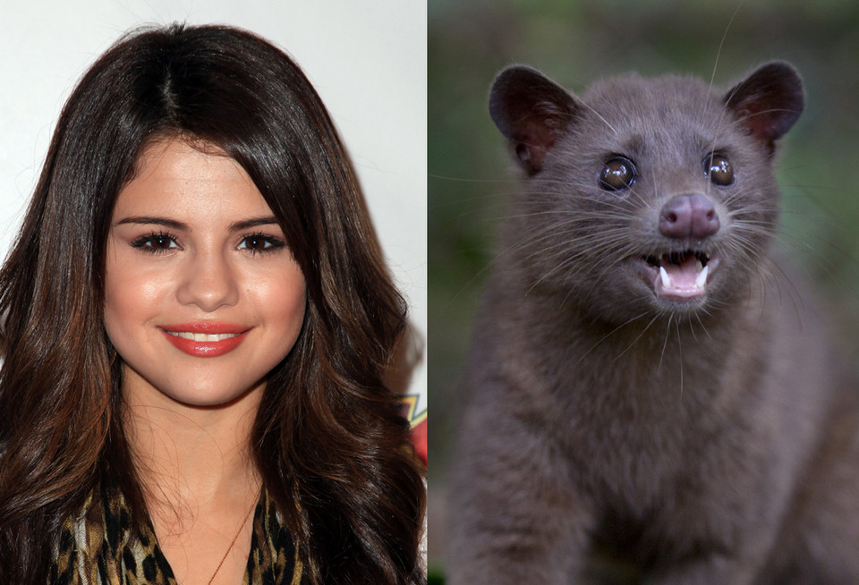 Selena Gomez i łaskun muzang (fot. Getty Images)