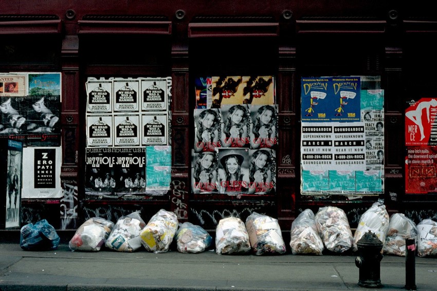 Insekti pojedu godišnje više od 950 kilograma otpadaka iz njujorških restorana