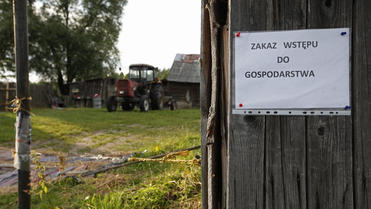 Minister Rolnictwa Marek Sawicki zapowiedział, że jeszcze w piątek wszystkie świnie, które znajdują się w promieniu 3 km od gospodarstwa, w którym wykryto występowanie wirusa ASF u świń, zostaną zutylizowane.