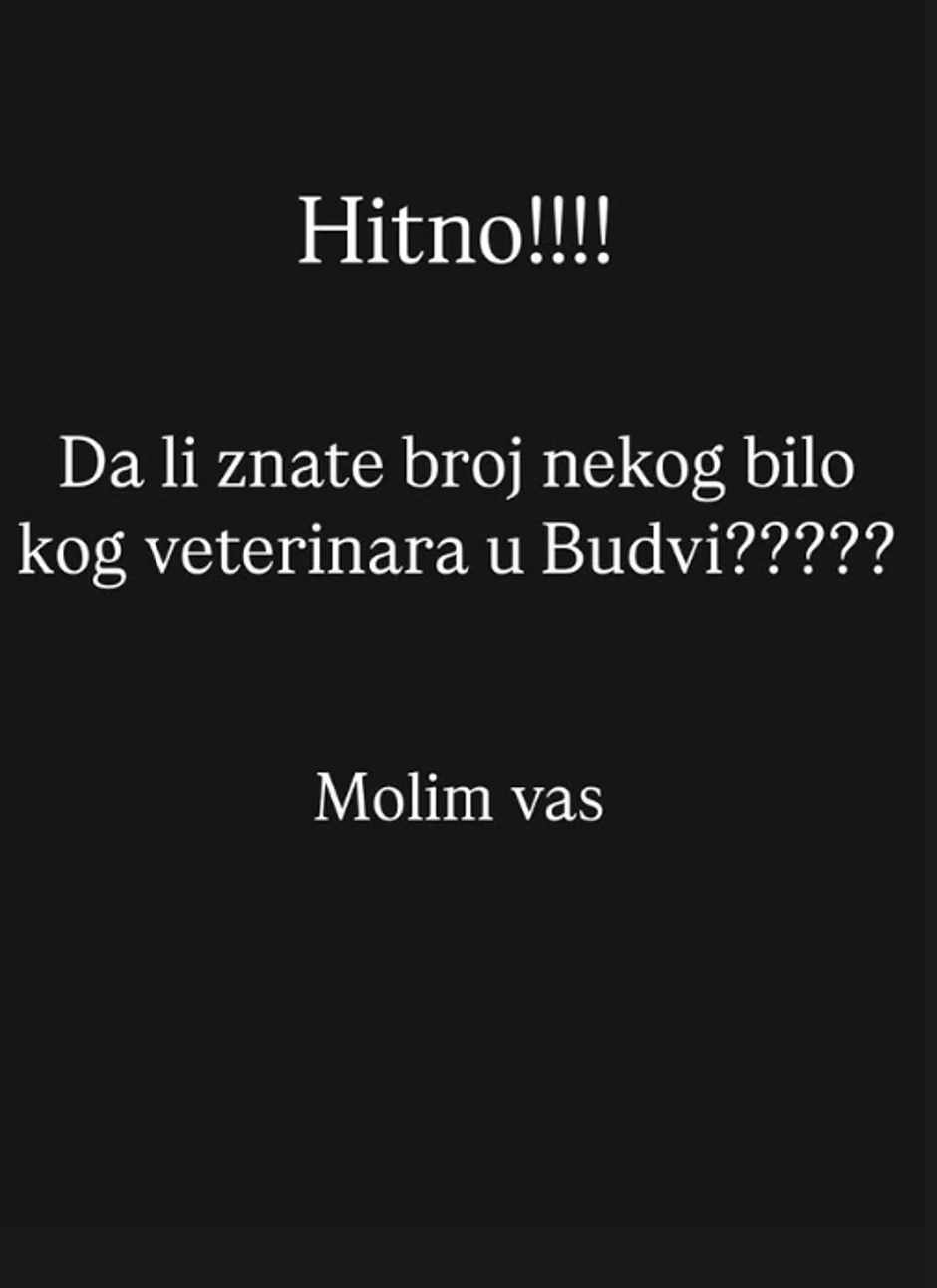 Vesna Đogani otkrila šta ju je snašlo u Crnoj Gori