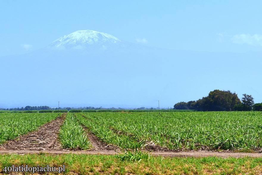 Widok na Kilimandżaro z okolic miejscowości Moshi