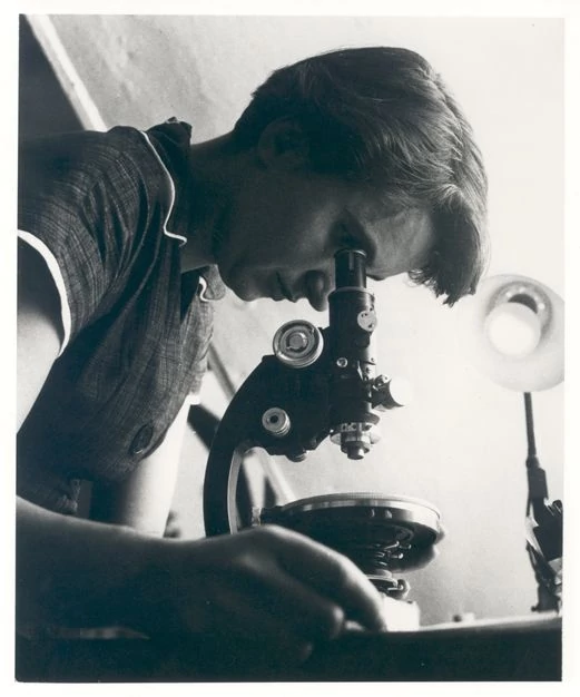 Rosalind Franklin w 1955 r