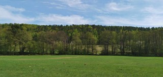 Kara za wjazd do lasu to nawet 5000 złotych. Kiedy ją dostaniemy?