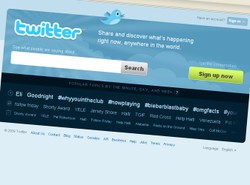 Już ponad milion Polaków ćwierka w sieci