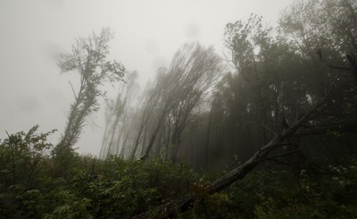 Orkan nad Wielką Brytanią. Zginęły dwie osoby, a ponad 130 tys. odbiorców pozostaje bez prądu