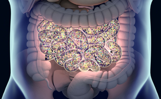 Bakterie w jelitach, mikrobiota