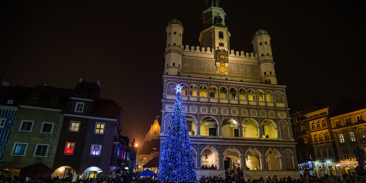 choinka poznań 