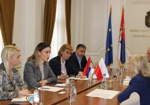 Mesarović se sastala sa ambasadorima