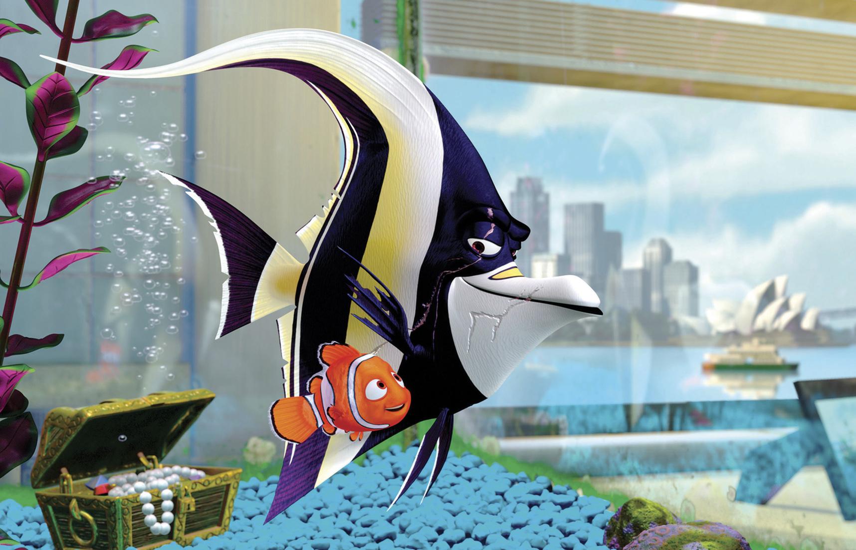 Záber z filmu Hľadá sa Nemo